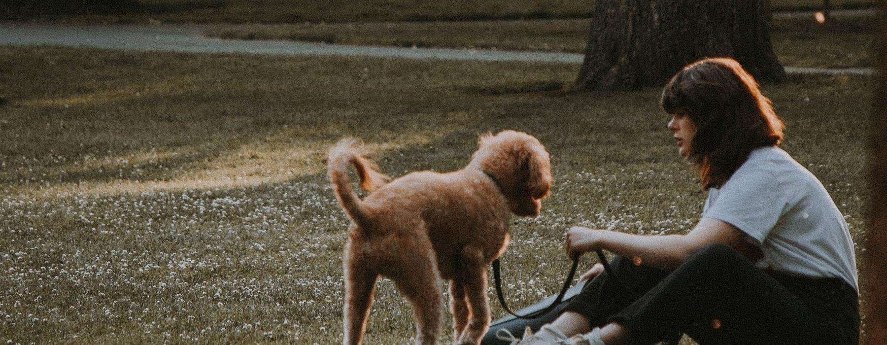 a person sitting on the ground with a dog