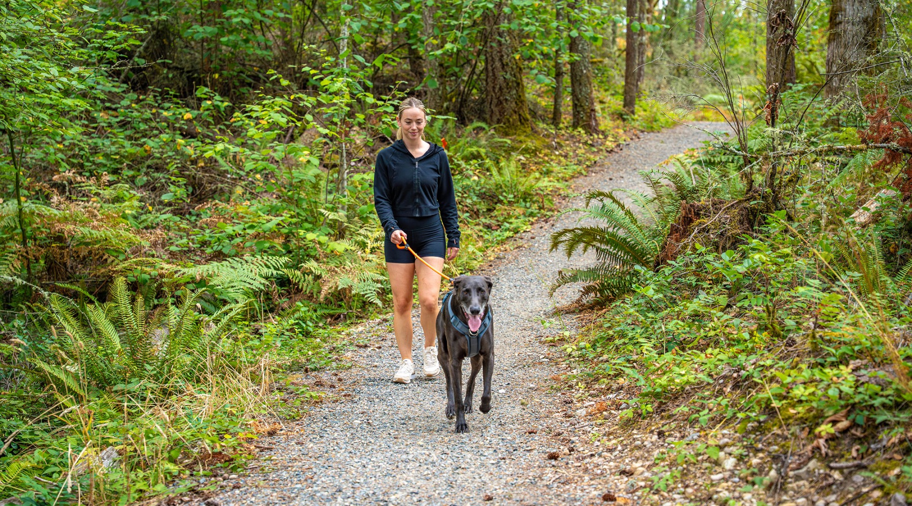 This is Living Elevated. 